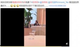 袁巴元爆料张雨绮视频,真相与争议