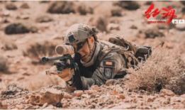 红海行动在线观看完,热血激战，捍卫国家荣誉的壮丽篇章