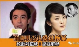 圈内爆料杨幂婆媳,圈内爆料背后的真相与和谐之道