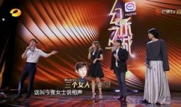 何炅那英爆料王菲视频,独家视频曝光惊人细节