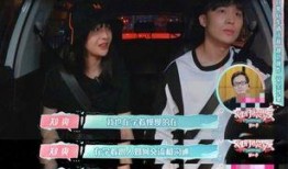娱乐吃瓜冷暴力,揭秘明星背后的心酸真相