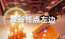 科学之伦爆料视频大全集,视频大全集深度解析
