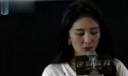 复婚在线观看,重温旧爱，共度人生新篇章