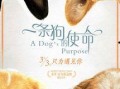 娱乐狗子10月爆料新闻,10月娱乐圈大事件盘点