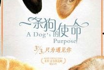 娱乐狗子10月爆料新闻,10月娱乐圈大事件盘点