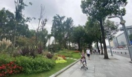 成都人民公园爆料视频,惊现神秘事件引众议