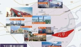 大奇和张君雅爆料视频,幕后真相大起底