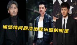 娱乐圈黑料大全爆料,真相与谣言的交织