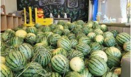 在哪里可以免费吃瓜,畅享夏日清凉新体验