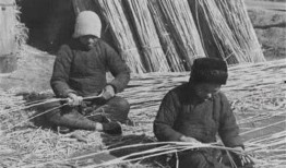 成县吃瓜网红事件始末是什么,一场网络舆论的风暴与反思