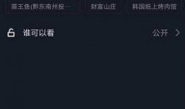 抖音夫妻爆料视频,揭秘网红夫妻背后的真实生活