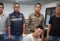 成县吃瓜网红事件始末是什么,一场网络舆论的风暴与反思