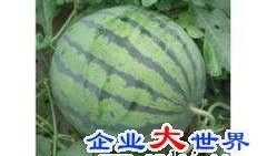 今日西瓜爆料最新消息,最新瓜界动态，揭秘今日热点事件