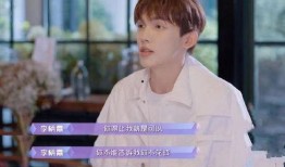 网友爆料郑成华索吻视频,网友爆料背后的真相