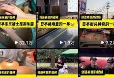 昆明海豚湾爆料视频,昆明海豚湾爆料视频揭露惊人内幕