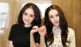 娱乐圈女主爆料小说推荐,揭开明星背后的秘密与真相