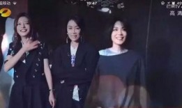 何炅那英爆料王菲视频,独家视频曝光惊人细节