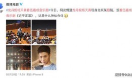 小宇家族爆料视频大全集,揭秘家族风云录