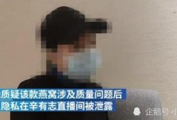 辛巴事件爆料者视频,真相与争议交织