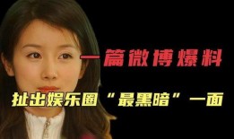 娱乐圈黑料大全爆料,真相与谣言的交织