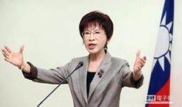 洪秀柱爆料视频大全集,揭秘政坛风云与幕后真相