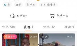 飞哥爆料大全视频在线观看,揭秘热门视频背后的精彩故事