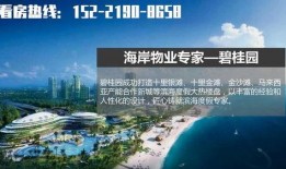 湛江吴川头条最新爆料,揭秘重大事件背后真相