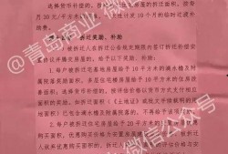 十梅庵拆迁最新爆料信息,揭秘拆迁背后的故事与影响