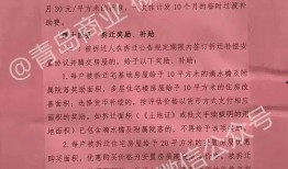 十梅庵拆迁最新爆料信息,揭秘拆迁背后的故事与影响