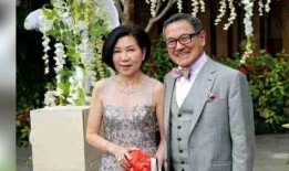 圈内爆料杨幂婆媳,圈内爆料背后的真相与和谐之道