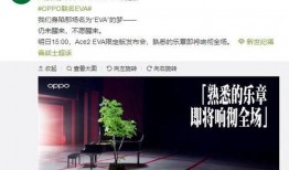 新卡片最新爆料视频,神秘功能与设计亮点抢先看