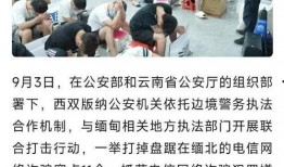 缅北最新爆料新闻