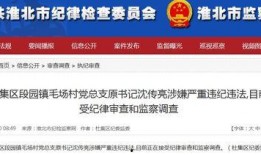 新闻爆料 视频网,揭秘新闻背后惊人真相