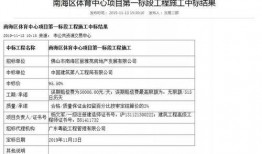 狮山最新爆料消息,揭秘神秘项目背后的惊人真相！