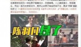 河源记者爆料事件视频曝光,真相大白引关注