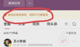 辉瑞公司黑人爆料视频,种族歧视与不公现象