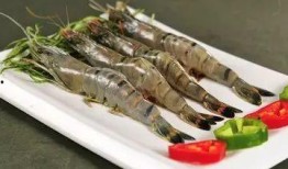 大虾养殖爆料图片大全视频,揭秘养殖爆料的图片与视频