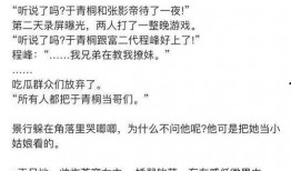 娱乐圈女主爆料小说推荐,揭开明星背后的秘密与真相