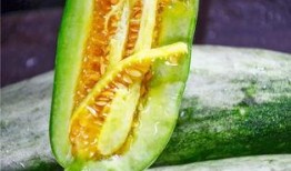 在哪吃网红瓜好吃,揭秘网红瓜的绝妙食府