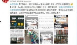 江兰直播爆料最新消息,最新消息震撼来袭！