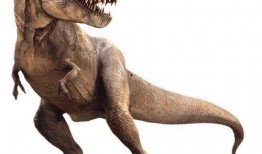 霸王龙最新爆料新闻,揭秘史前巨兽的神秘生活