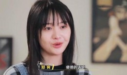 郑爽娱乐圈爆料,揭秘明星背后的真相与争议