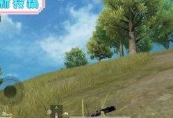 和平精英最新蹦蹦爆料