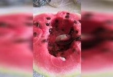 最新七夕吃瓜爆料,明星情侣幕后秘闻大揭秘
