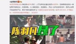 爱豆被爆料出轨视频,真相与舆论的漩涡