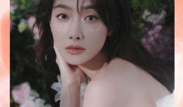 温柔女星爆料视频播放大全,视频播放大全精彩瞬间大盘点