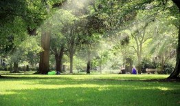 乌拉公园爆料视频,一场惊心动魄的冒险之旅