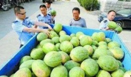 滨江网红吃瓜群微信,揭秘网络红人的幕后故事