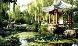 成都人民公园爆料视频,惊现神秘事件引众议