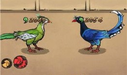 疯狂斗鸡场最新爆料,揭秘幕后黑幕与激战风云